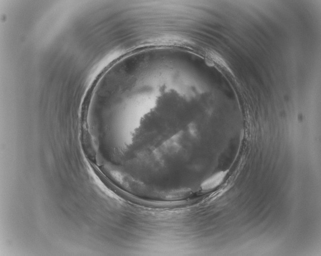 X0000056331087200508261214