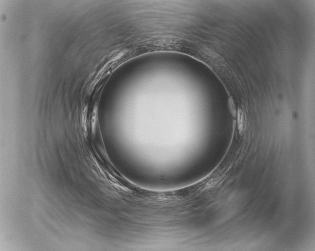 X0000056331107200508261213
