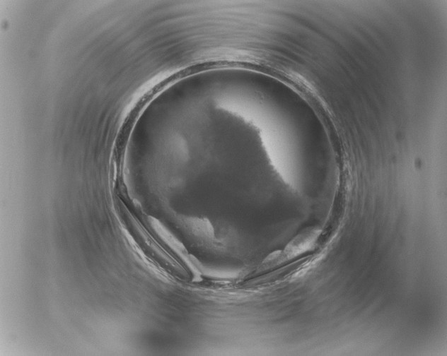 X0000056331125200508261213
