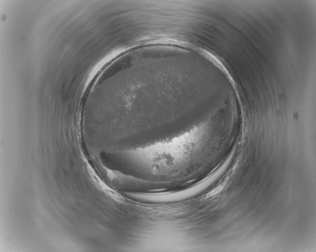 X0000056331149200508261214