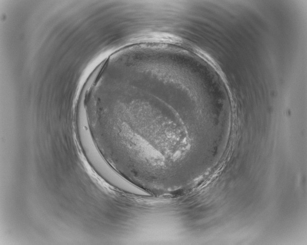 X0000056331152200508261214