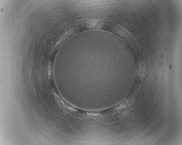 X0000056331154200508261213