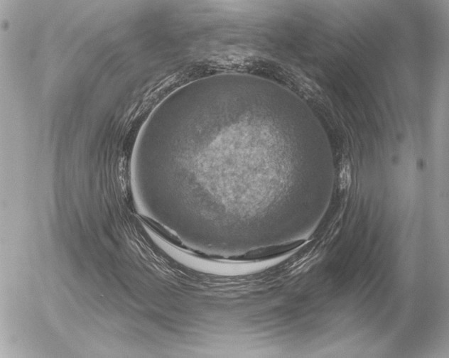 X0000056331156200508261213