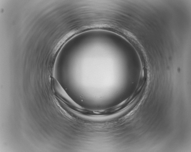 X0000056331177200508261213