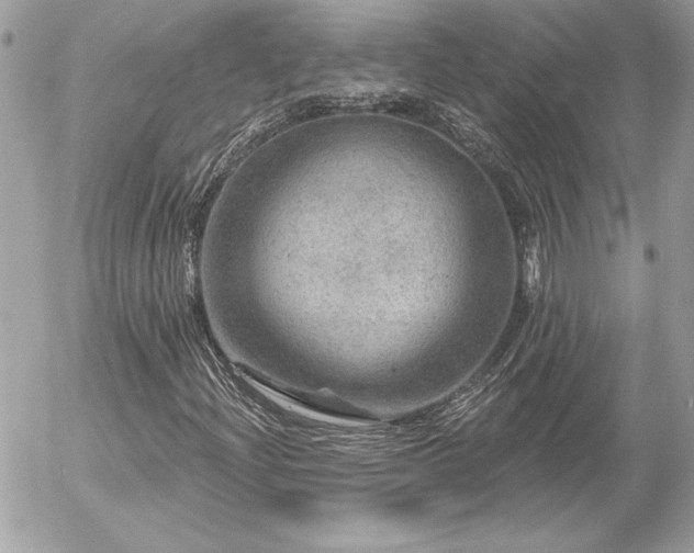 X0000056331204200508261212