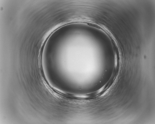 X0000056331246200508261212