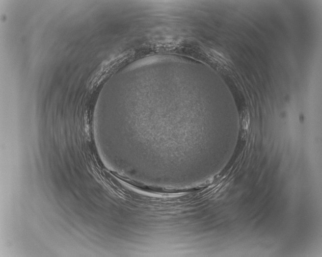 X0000056331252200508261211
