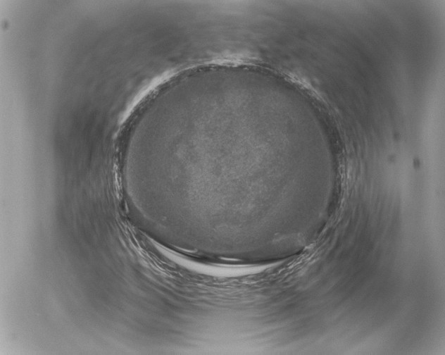 X0000056331256200508261211