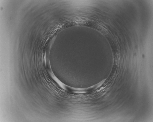 X0000056331298200508261210