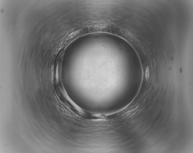 X0000056331299200508261210