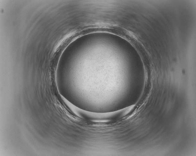 X0000056331307200508261210