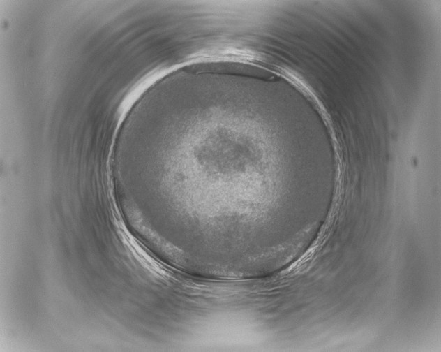 X0000056331344200508261211