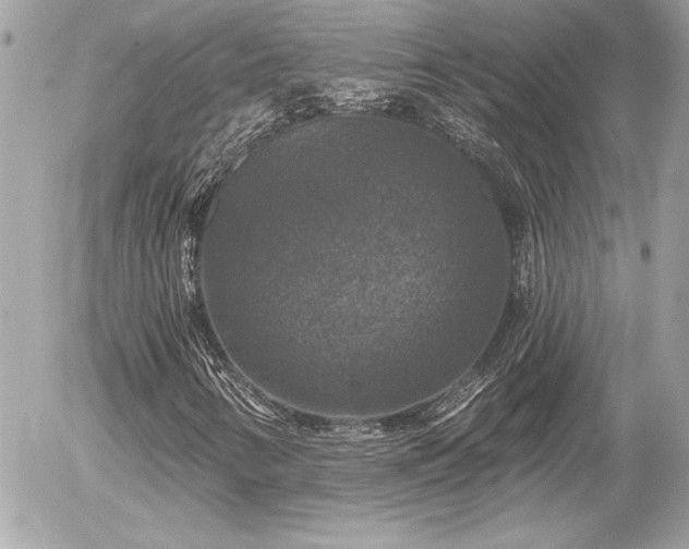 X0000056331346200508261210