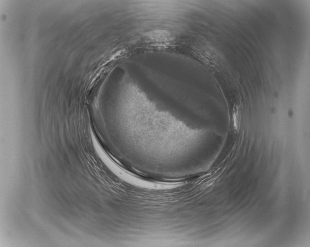 X0000056331347200508261210