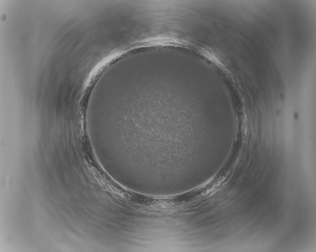 X0000056331358200508261210