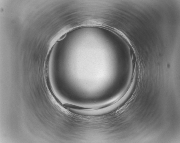 X0000056331387200508261209