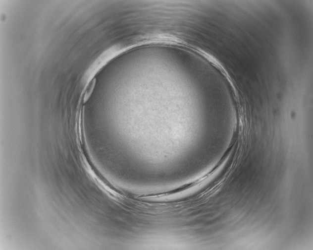 X0000056331391200508261209