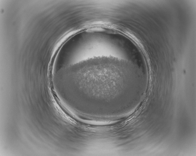 X0000056331392200508261209