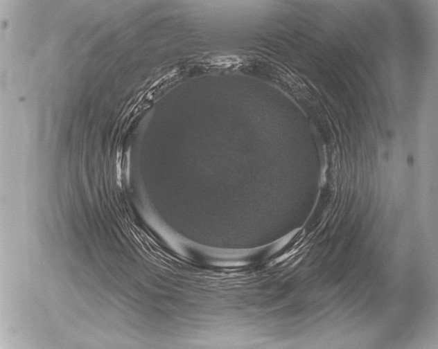 X0000056331394200508261208