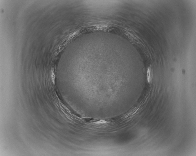 X0000056331395200508261208