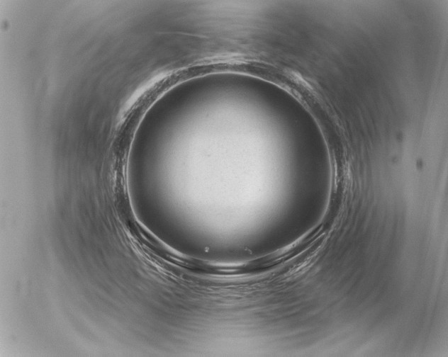 X0000056331406200508261209