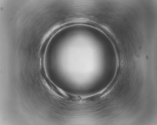 X0000056331414200508261209