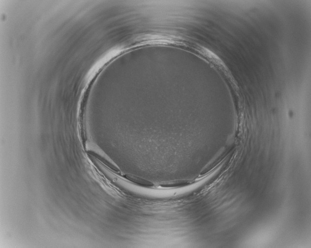 X0000056331427200508261209