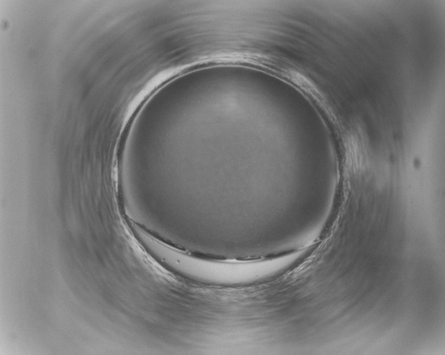 X0000056331428200508261209