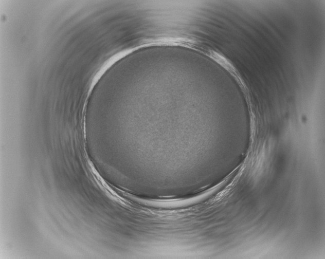X0000056331436200508261209