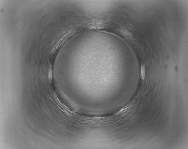 X0000056331444200508261208