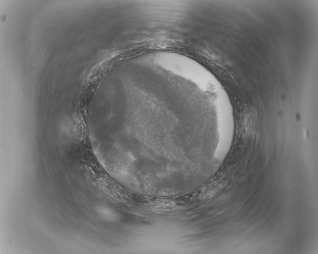 X0000056331446200508261208