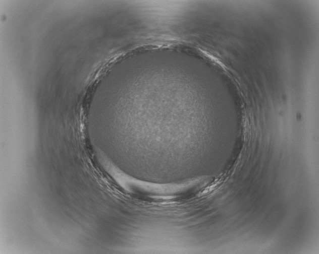 X0000056331447200508261208