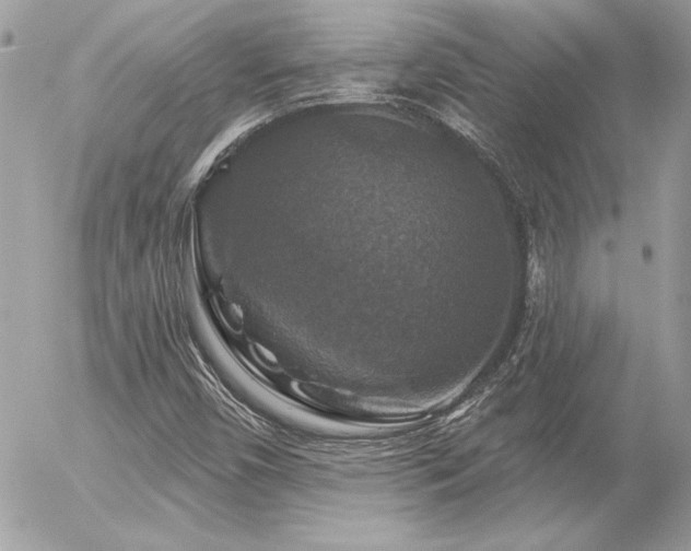 X0000056331450200508261208