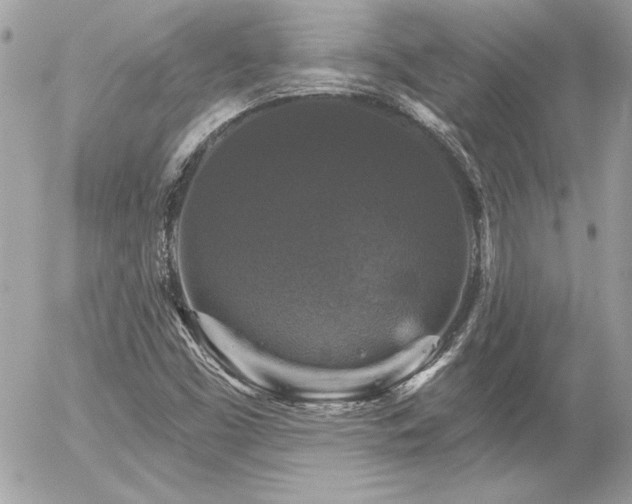 X0000056331453200508261208