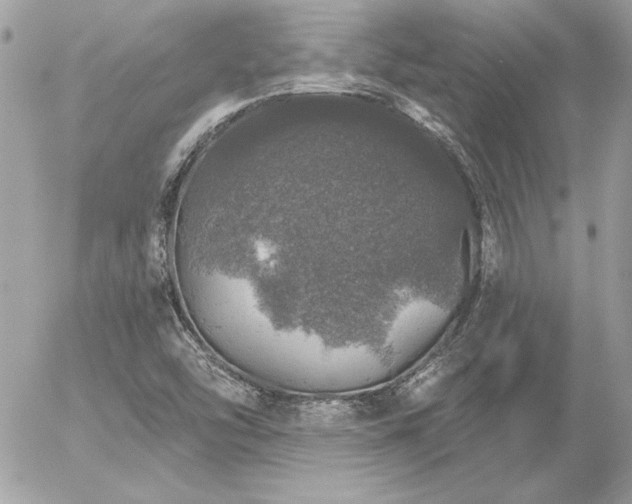 X0000056331454200508261208
