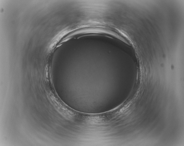 X0000056331455200508261208