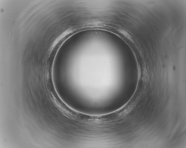 X0000056331458200508261208