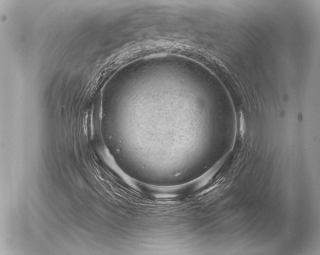 X0000056331492200508261207
