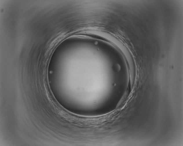 X0000056330001200508291304