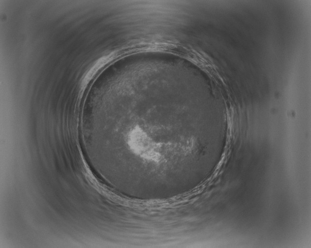 X0000056330003200508291304