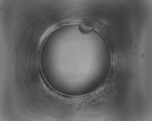 X0000056330004200508291304