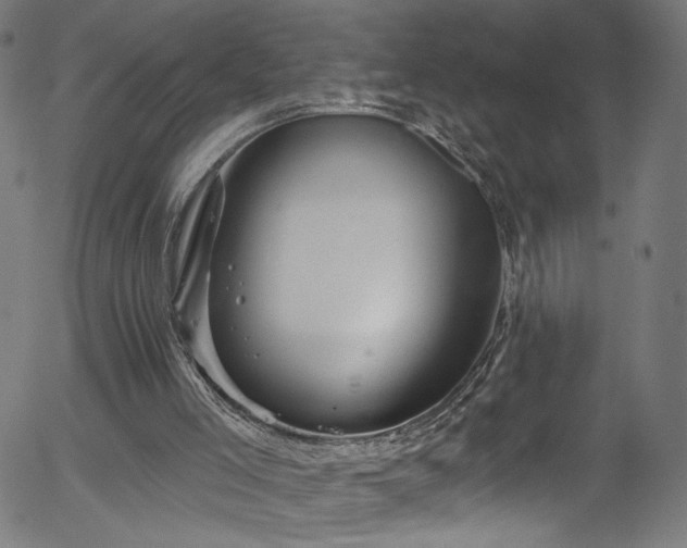 X0000056330005200508291304