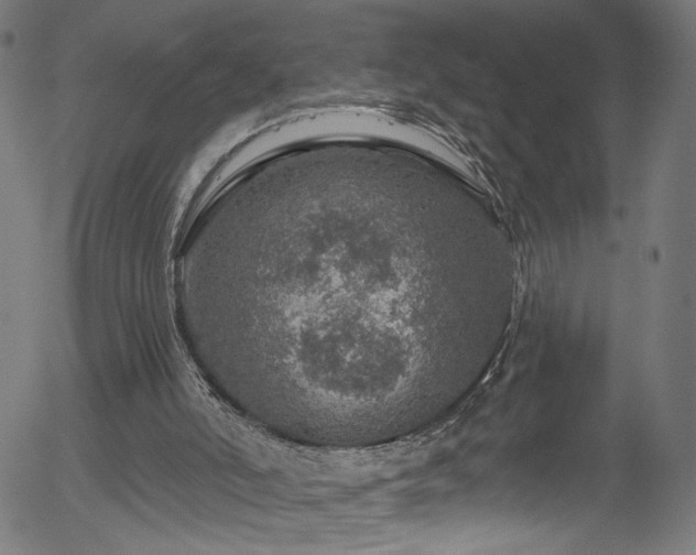 X0000056330006200508291304