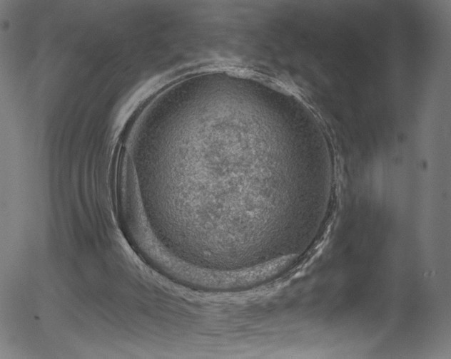 X0000056330007200508291304