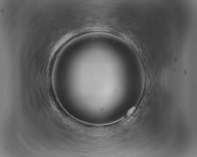 X0000056330008200508291304