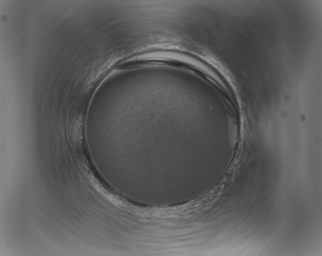 X0000056330009200508291304