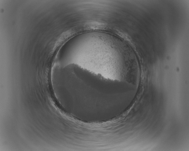 X0000056330010200508291304