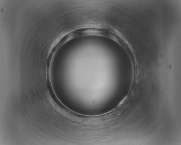 X0000056330011200508291304