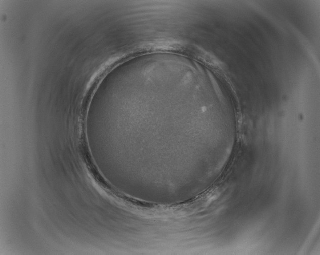 X0000056330012200508291304