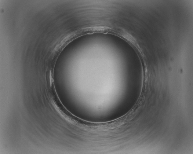 X0000056330013200508291304